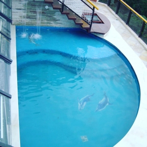 Img 20180725 235935 885jpg