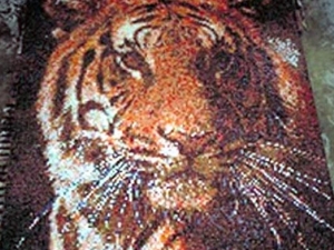 86e8e67edae9219d12d438efd5f5a939 Xljpg